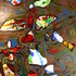 L1070395_rotation