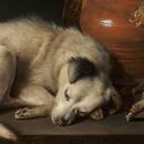 20110531074750-dog