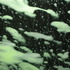 20110531084855-artslantupload2