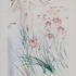 20110531093236-i_am_my_beloved
