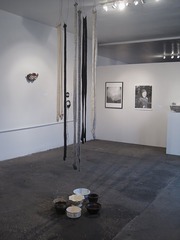 forefront: Home syndrome ,Kate Hampel