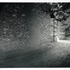 20110601074859-k_burkhart_13