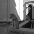 20110601081306-dscn0746