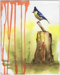 untitled,Lisa Adams