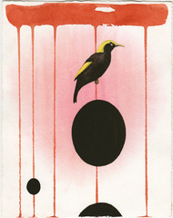 untitled,Lisa Adams