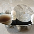 20110601143915-rachaelneubauer__untitled__still_life_000_