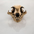 20110602075651-sl_bobcat-skull-above_email