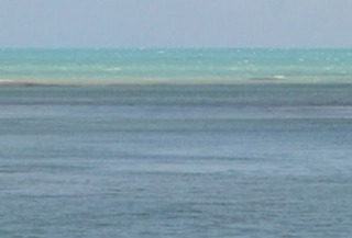Tropical Depression,Daniel Newman
