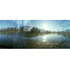 20110603095128-natalie_tummolo