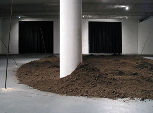 20110603165350-the_dark_light_and_something_in_the_bones__installation_view_i_