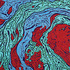 20110606143340-150x200cm