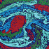 20110606143712-150x200cm