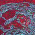 20110606144702-150x200cm