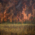 20110606165710-esaluznoescomolasdemas_72x60_2011