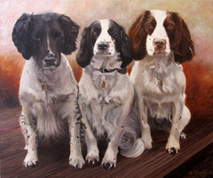 20110607124641-three_springers