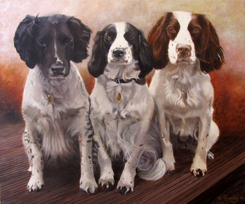 20110607124641-three_springers