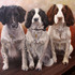 20110607124641-three_springers