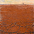 20110609092520-primaveraquenollega_84x72_2011