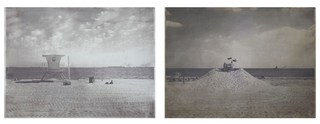 ,Matthew Brandt