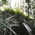 20110609194901-img_9661