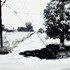20110610093436-2011_pierce_st