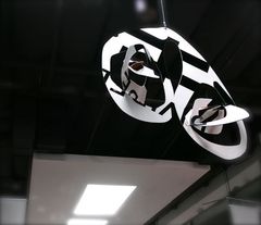 P8102993