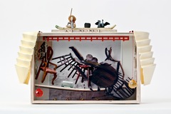 20110610183825-photo-joshua_white_2011-3477-2_2_