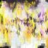 20110610220053-tn_cdad_q_renace