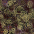20110611032441-4-rings-_contemplation_transp_sm