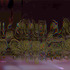 20110611032742-9-rings-_state_of_hurricano_ms