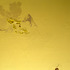 20110611112309-main11