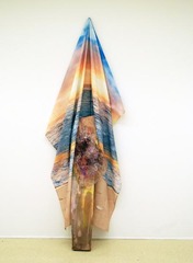 Sunset with Scabbed Veil ,Rachel Niffenegger