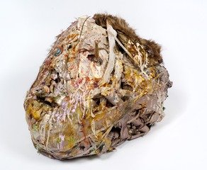 Untitled Head (Gold Teeth with Fur),Rachel Niffenegger