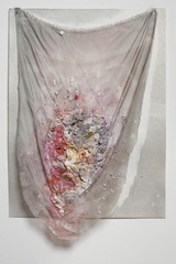 Shroud (Anemone Eye),Rachel Niffenegger