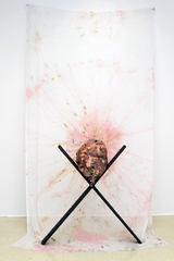 ,Rachel Niffenegger