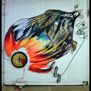 20110612113412-thunderbird_install_novid
