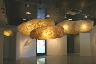 From the Cloud Lab,Melinda Smith Altshuler