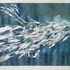 20110614050857-ocean_dance