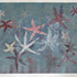 20110614051406-sea_stars