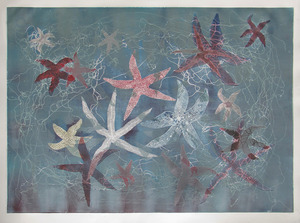 20110614051406-sea_stars