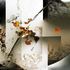 20110614143440-bouquet_de_dulcin_e_90_x_90_cm_on_plexiglas