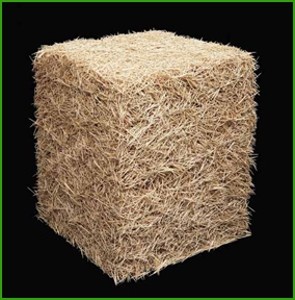 Donovan_toothpicks_web