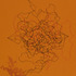20110615110201-ruthtrotter2_0541