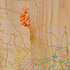 20110615110504-ruthtrotter2_0549