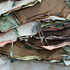 20110616090649-double_shift_1