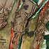 20110616091920-business_and_pleasure_9