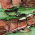 20110616092055-business_and_pleasure_5