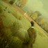 20110616120118-dscn1623
