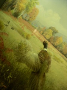 20110616120118-dscn1623