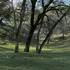 20110618140933-yountville1_11